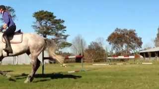 Aussie Jumping - 09.07.2014