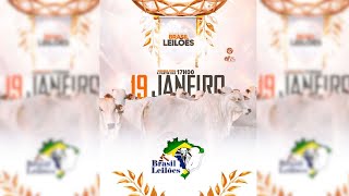 BRASIL LEILÕES  PORANGATU - GO  19/01/2026