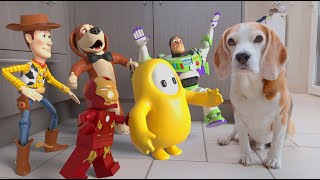 Dogs vs Real Life Animations Compilation : Funny Dogs Louie & Marie