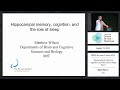 Hippocampal memory cognition and the role of sleep part 1