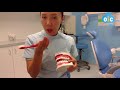 Australian Dentist Dr. Lisa - How to brush your teeth (manual toothbrush)