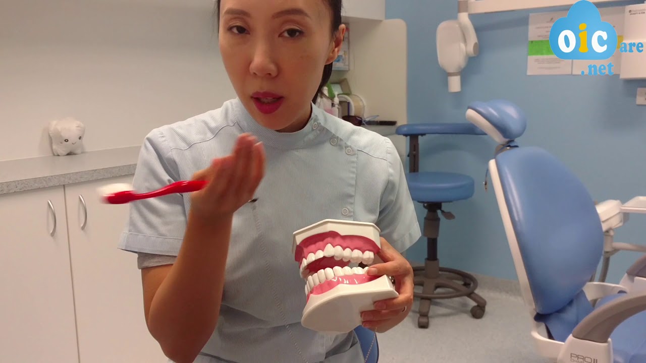 Australian Dentist Dr. Lisa - How to brush your teeth (manual toothbrush)