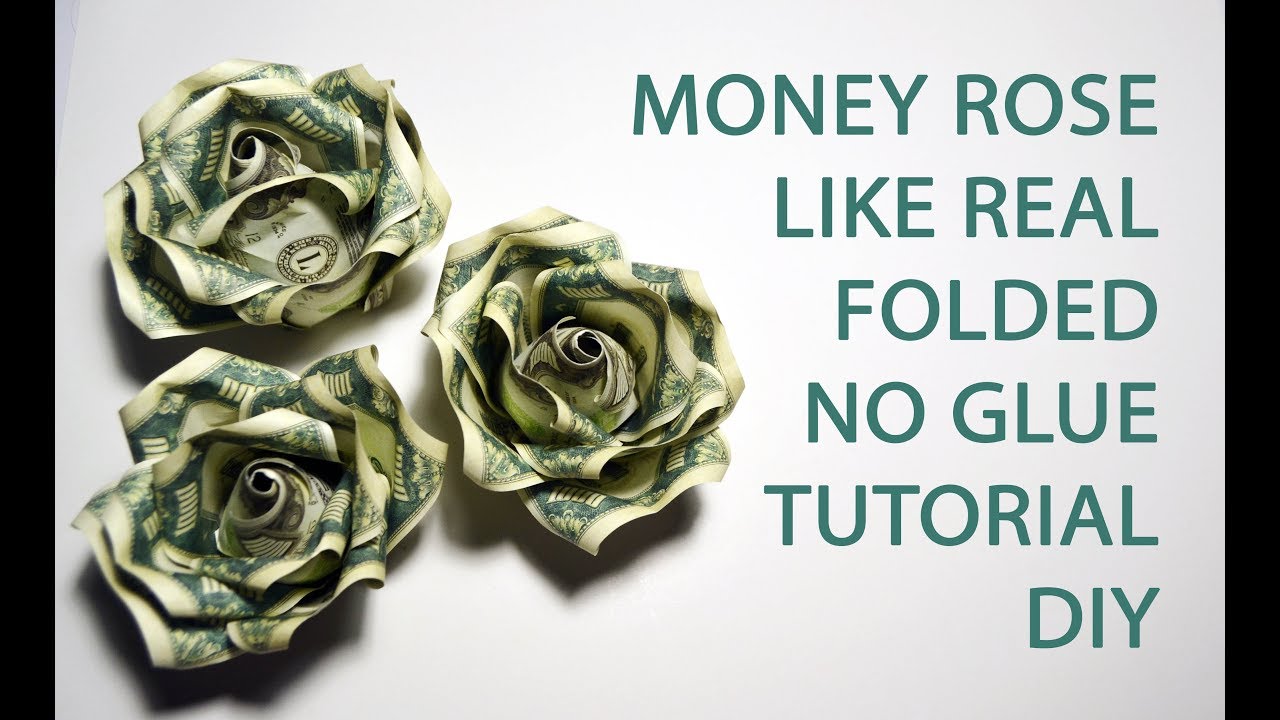 dollar in won New Update Money Rose like Real Origami Flower Folded No glue Dollar Tutorial DIY