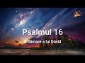 Psalmul 16
