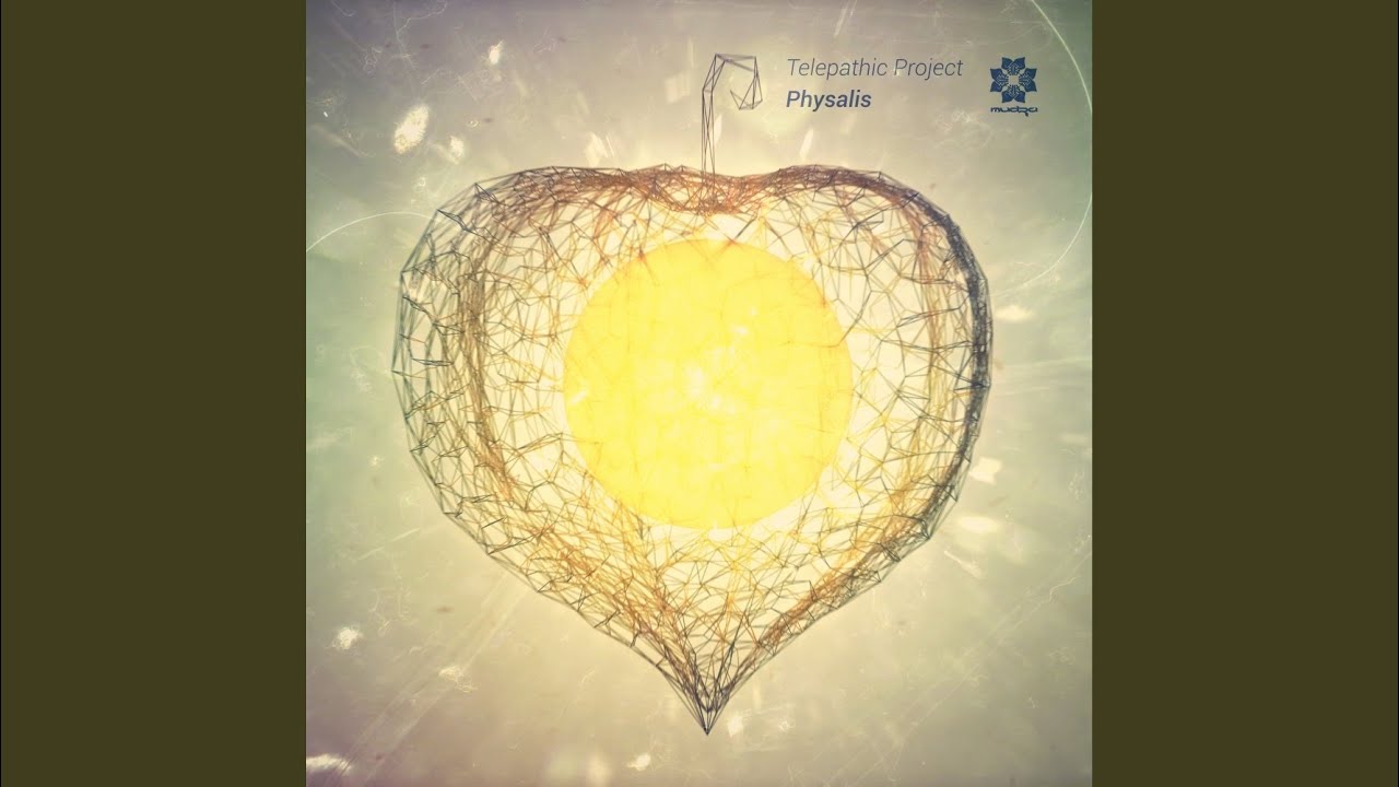在 YouTube 上觀看「Physalis (Original Mix)」 在 YouTube 上觀看「Physalis (Original Mix)」
