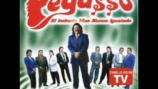 Video thumbnail of "grupo pegasso yo comence la broma"