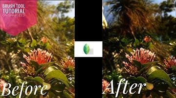 How to Use Brush Tool in Snapseed Tutorial