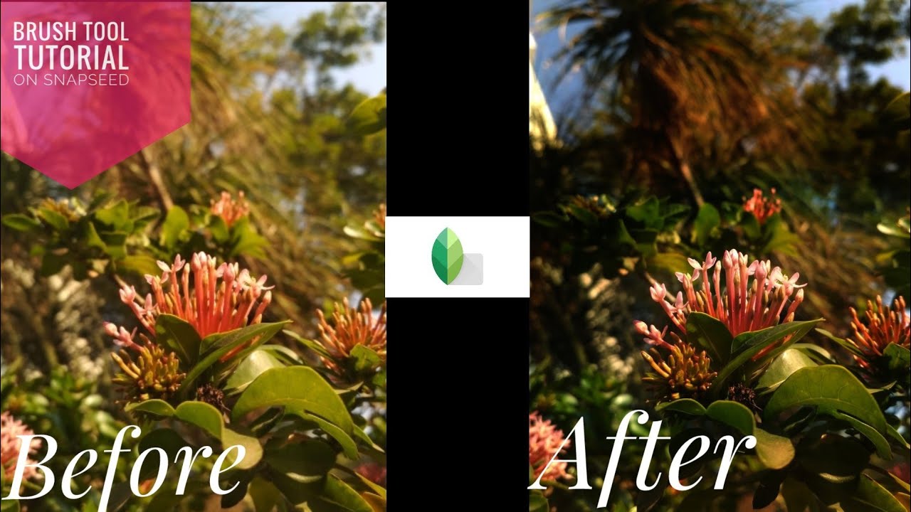 How to Use Brush Tool in Snapseed Tutorial YouTube