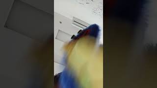 When Huggy Wuggy Eats Too Much Burger King