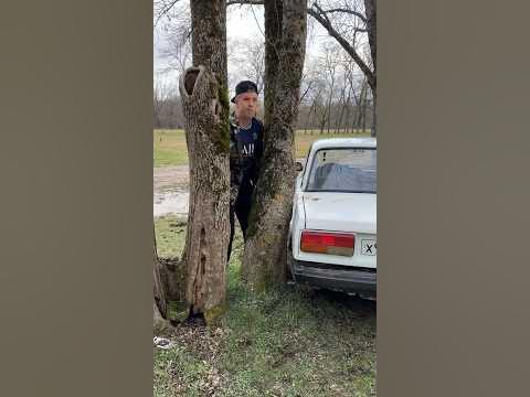 ВРЕЗАЛСЯ В ДЕРЕВО - YouTube