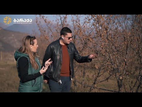 ბარაქა ფერმერთან ერთად მეურნეობის სწორი მენეჯმენტით აღწევს საუკეთესო შედეგებს