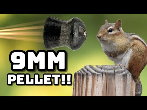 Is 9mm too much for Chipmunks?