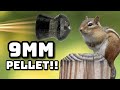 Is 9mm too much for chipmunks