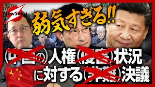ようやく採択されたけど・・誰の何に対するどんな「決議」？