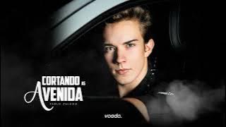 Pablo Paludo - Cortando As Avenida (Lyric Vídeo)