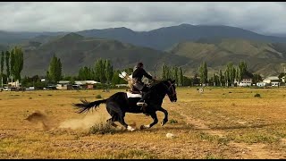 Horseback Archery Tengribows.com