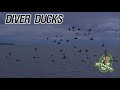 Open Water Diver Duck Hunt (3 man limit)
