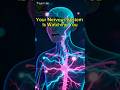 "Your Nervous System Is Watching You"