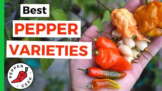 Best Peppers of 2020  Our Favorite Varieties  Pepper Geek