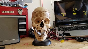 Pneumatic Talking Skull