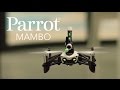 Parrot mambo  official