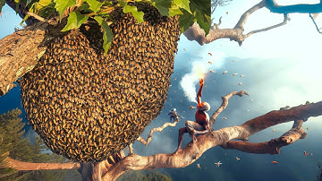 Thợ Rừng Và Những Tổ Ong Mật Khổng Lồ Trên Cây Cao