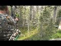 CALLING IN 6 POINT BULL IN THICK TIMBER - EP 23 - LAND OF THE FREE
