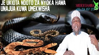 JE UKIOTA NDOTO ZA NYOKA HAWA UNAJUA KUWA UMEKWISHA