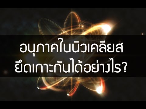 วีดีโอ: พหูพจน์ของนิวเคลียสคืออะไร?