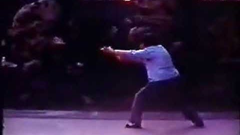 孫劍雲 孫氏八式拳