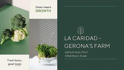 La Caridad - Gerona's Farm (Strategic Plan)
