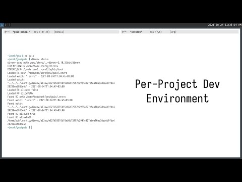 Per-Project Dev Environment