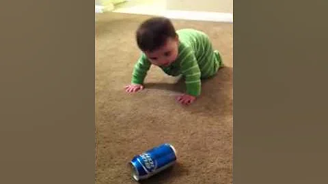 Baby crawls for the first time to bud light can!