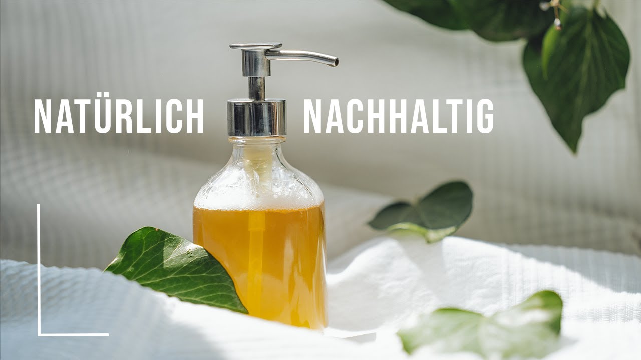 pflanze elefantenfuß preis Elefantenfuß (Beaucarnea recurvata) kaufen main image 1