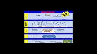 Primary Research Methodology