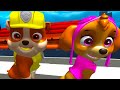PAW PATROL PRANKS Funny Dogs 360° Coffin Dance 3D video - Parody | AACG Animation |