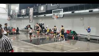 PSB Elite Vs AE5 Gold (17U)