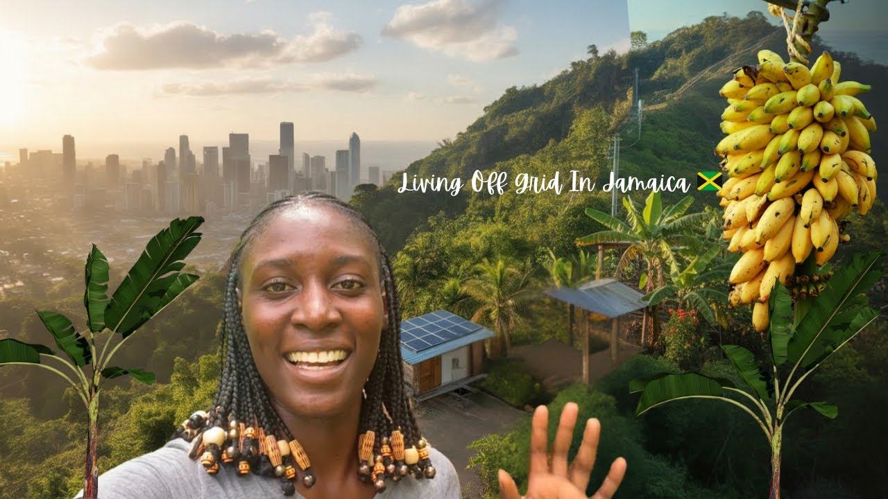 Строим свой автономный дом на Ямайке — обзорная экскурсия, фруктовые деревья и наш домик 🇯🇲