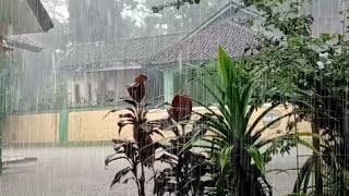 Der kraftvollste Regen aller Zeiten! Dieser Klang beruhigt Sie sofort. screenshot 3