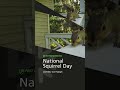 Squirrel Day!