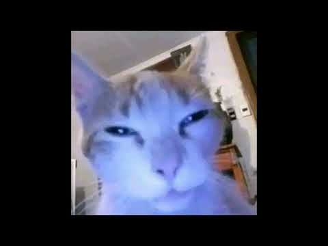 L_X -ຂີ້ອາຍ X Masterzz! [covet-nam]