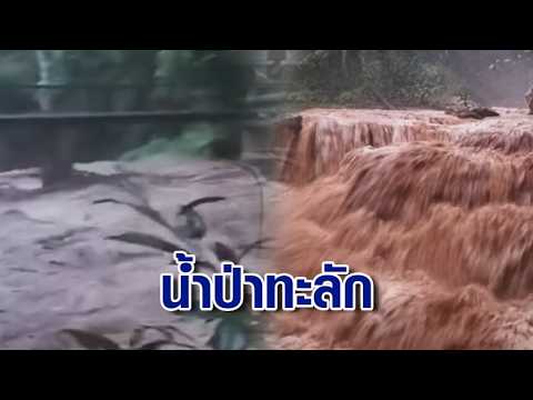 Flash Flood Hits: Chiang Mai Orders Closure of Mae Sa and Tad Mok Waterfalls, Issues Warning for ...