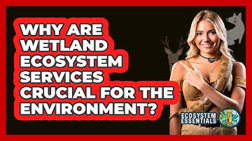 Why Are Wetland Ecosystem Services Crucial For The Environment? - Ecosystem Essentials