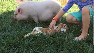 F0AA0707 1FBD 4F41 B621 2528CADC7245