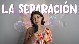 LA SEPARACIÓN -TINKERBELL / COVER