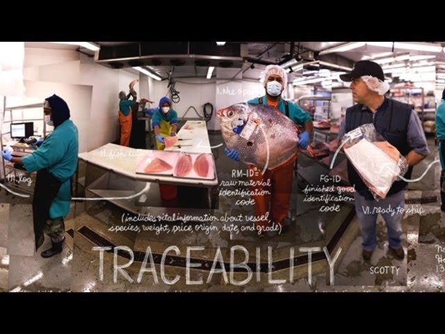 Traceability | The Lexicon of Sustainability | PBS Food