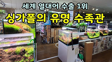 물생활 선진국에서도 유명한 수족관은 무엇이 다를까요? [오브리더]