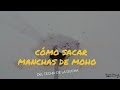 Cómo quitar manchas de moho