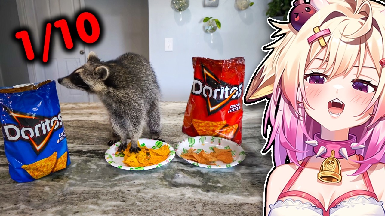 Raccoon Rates The Most Popular Chips!! | Reaction