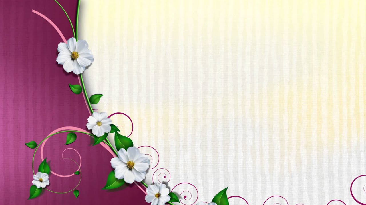 Daisy Dreamhd Youtube